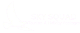 skysquadtourism.com